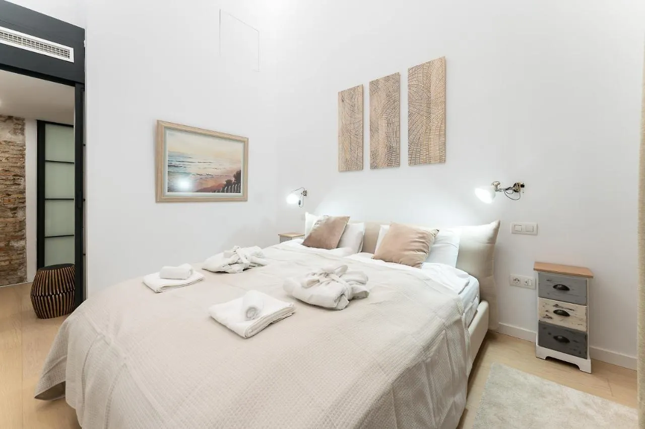 High Ceiling Gem In Heart Of Malaga Historic District Appartement