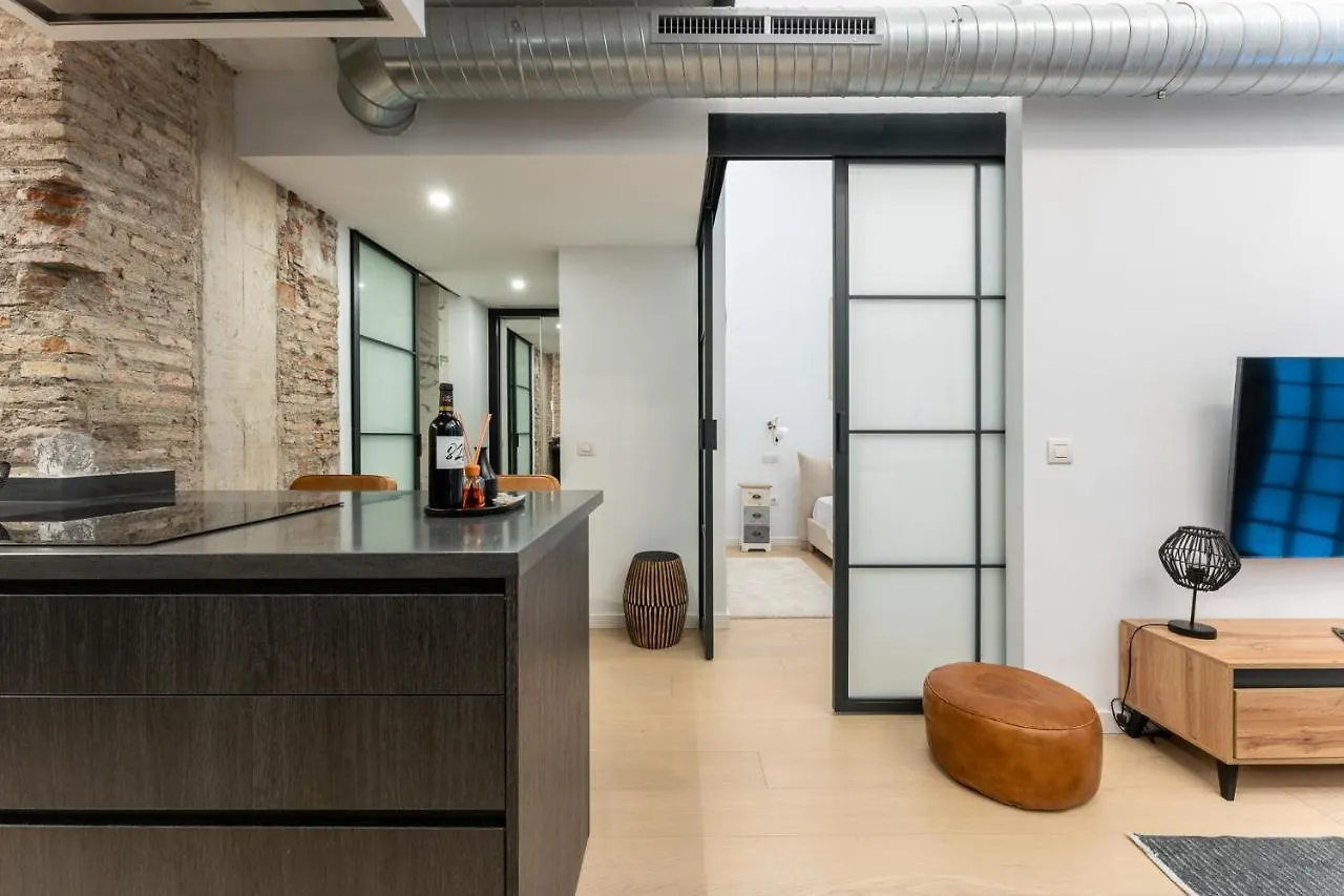 High Ceiling Gem In Heart Of Malaga Historic District Appartement